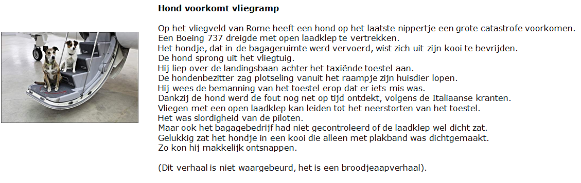 verhaalhond verhaalhond.png